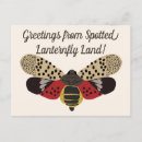 Search for spots postcards Insects