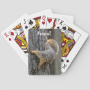 Search for squirrel playing cards Nature