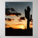 Search for arizona posters Outdoors