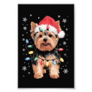 Search for yorkie art Festive