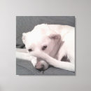 Search for dog owner canvas prints Funny