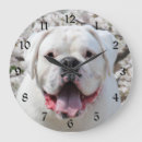 Search for dog face clocks Bulldog