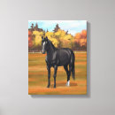 Search for black stallion canvas prints Horses
