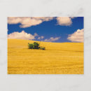Search for cropland postcards Agricultural