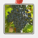 Search for grapevine christmas tree decorations Vineyard