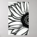 Search for black white sunflower art Nature