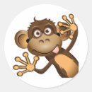 Search for funny monkey Animal