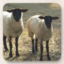 Search for black sheep barware Farm animals