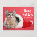 Search for purebred photography Pets