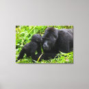 Search for infant canvas prints Wildlife