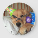 Search for dog greeting art Birthday greetings