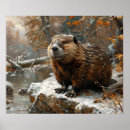 Search for beavers art Wildlife