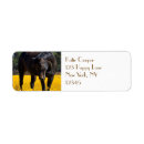 Search for thoroughbred horse return address labels Equine