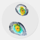 Search for oyster shell stickers Watercolor