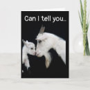 Search for unhappy cards Regret