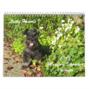 Search for miniature schnauzer gifts Cute dog