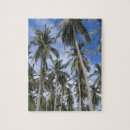 Search for philippines puzzles Palm trees