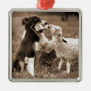 Search for border collie christmas tree decorations Farm