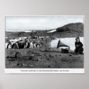 Search for shackleton Expedition