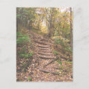 Search for autumn forest postcards Hiking