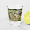 Search for antelope barware Nature