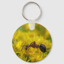 Search for entomology key rings Entomologist