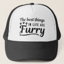 Search for furry hats Dog