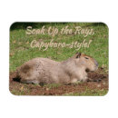Search for capybara gifts Vacation
