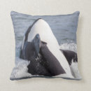Search for orca cushions Alaska