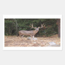 Search for buck wild stickers Deer