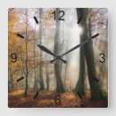 Search for mystical clocks Nature