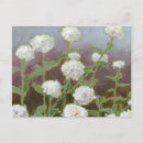 Search for botanical study postcards Flowers