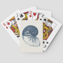 Search for shark playing cards Shell