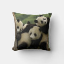 Search for giant panda cushions China