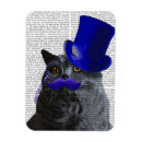 Search for tophat magnets Flowers