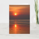 Search for low tide cards Sunset