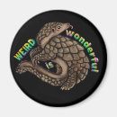 Search for endangered magnets Pangolin