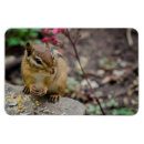Search for meals magnets Cute