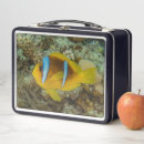 Search for fish lunch boxes Blue