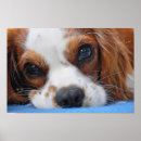 Search for dog breed art Small