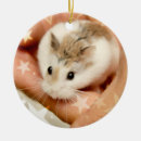 Search for hamster christmas tree decorations Adorable