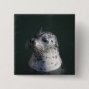 Search for sealife badges Outdoors