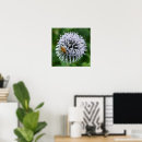 Search for honeybees posters Insects