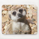 Search for cuddly mousepads Animal