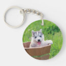 Search for siberian husky key rings Alaskan malamute