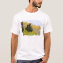 Search for nf clothing Tree