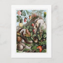 Search for slug postcards Snails
