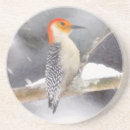 Search for belly coasters Bird