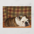 Search for sofa postcards Colour image