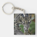 Search for leopard key rings Wild animals